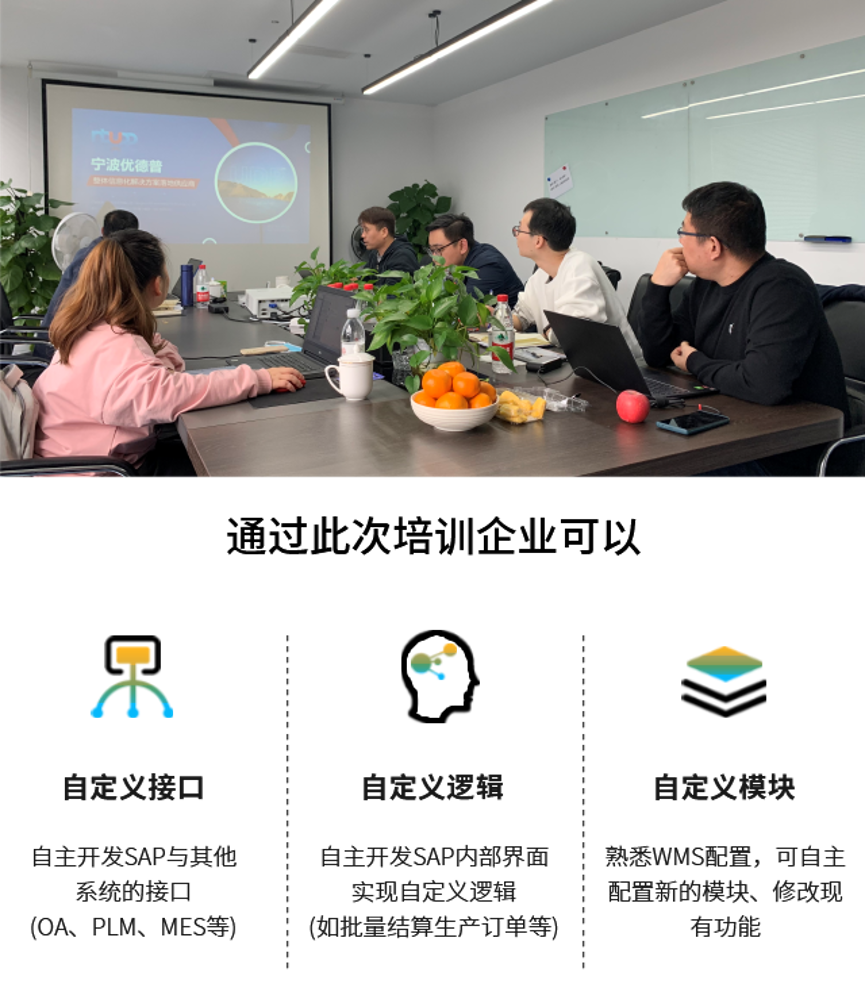 SAP ERP系统