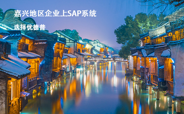 嘉兴SAP代理商,嘉兴ERP公司,嘉兴SAP Business One合作伙伴,嘉兴优德普,嘉兴SAP实施商,嘉兴SAP合作伙伴