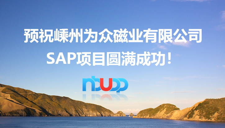 优德普,嵊州为众磁业,SAP ByD项目,SAP Business ByDesign ERP云,SAP ByD案例