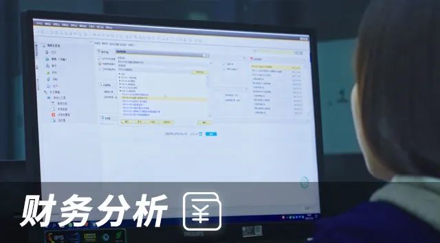  SAP系统财务管理