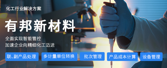 ERP软件,本地化,ERP实施商,优德普,ERP本地实施,SAP ERP软件,SAP系统