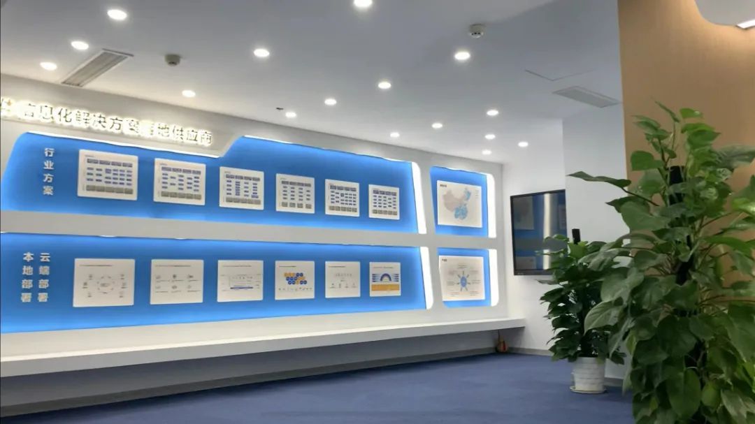拓普集团,ERP软件,本地化,ERP实施商,优德普,ERP本地实施,SAP ERP软件,SAP系统,SAP代理商