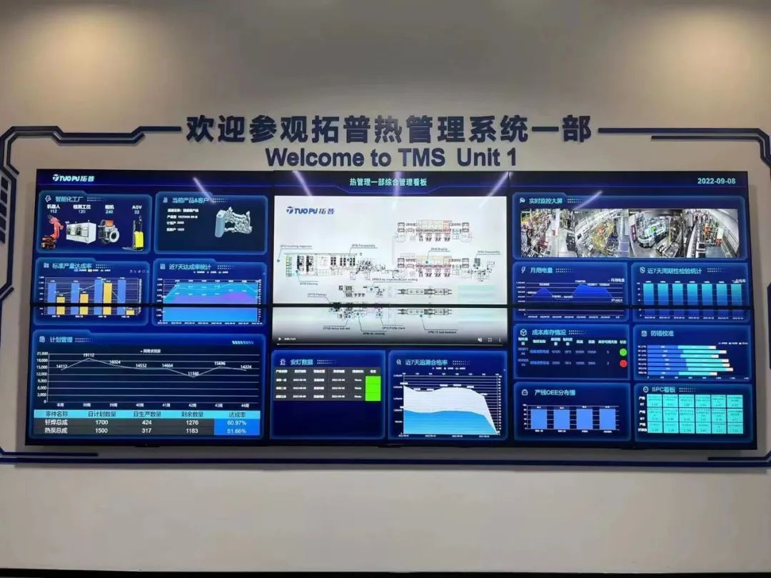 拓普集团,ERP软件,本地化,ERP实施商,优德普,ERP本地实施,SAP ERP软件,SAP系统,SAP代理商