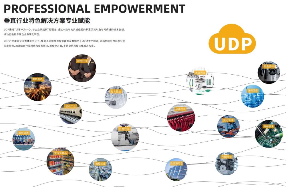 ERP系统供应商,SAP ERP服务商,ERP软件,本地化,ERP实施商,优德普,ERP本地实施,SAP ERP软件,SAP系统