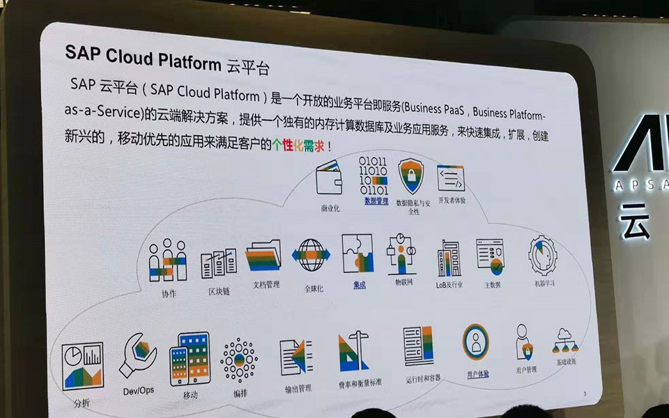 SAP实施商,ERP软件,本地化,ERP实施商,优德普,ERP本地实施,SAP ERP软件,SAP系统,经典ERP