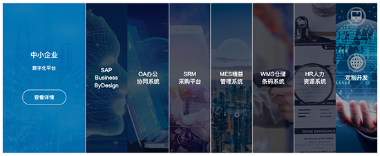 宁波SAP,SAP系统,SAP系统实施商,SAP软件供应商,SAP系统服务商,SAP系统官方,宁波SAP系统,宁波SAP系统实施商,SAP ERP系统
