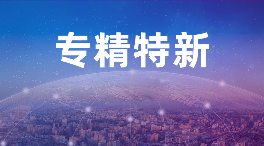 专精特新企业erp,专精特新ERP系统,专精特新行业ERP,ERP专精特新,SAP专精特新,专精特新数字化解决方案