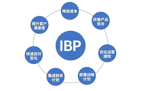 SAP集成业务计划,供应链数字化转型,供应链数字化,集成业务计划,SAP供应链数字化转型,实现供应链数字化转型,供应链数字化转型的关键路径