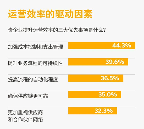 成长型企业数字化转型,成长型企业转型升级,SAP成长型企业,成长型企业数字化转型重点,成长型企业数字化战略重点,SAP成长型企业数字化转型升级
