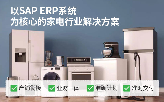 家电SAP系统 SAP系统 ERP系统