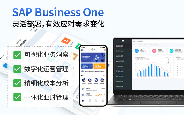中小企业ERP,数字化转型,ERP系统选择,SAP ERP,ERP解决方案,企业信息化,ERP实施