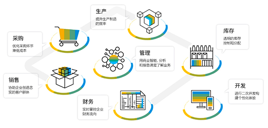 SAP开发,SAP软件实施商,优德普SAP系统开发,SAP开发服务,SAP平台ERP功能开发