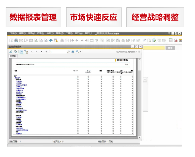 SAP财务管理系统,业财一体化的ERP软件,SAP ERP,财务管理系统,ERP财务管理软件