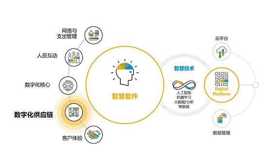 SAP S/4HANA不同版本,SAP S/4HANA Cloud,SAP S4软件,SAP本地版和订阅版