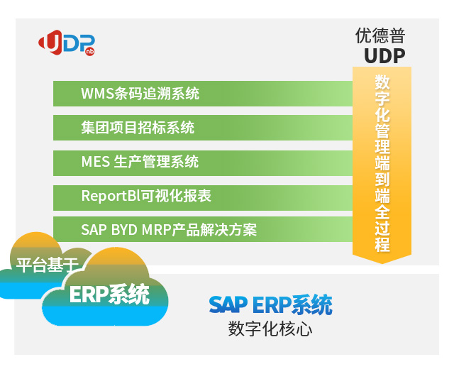 SAP实施商,SAP项目实施,sap实施公司,国内sap实施公司排名,国内比较好的sap实施公司,优德普,好的sap实施商