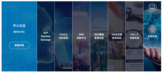 大连SAP实施,大连SAP,SAP系统,大连erp软件公司,大连SAP ERP,大连SAP系统,大连SAP实施商,优德普SAP实施