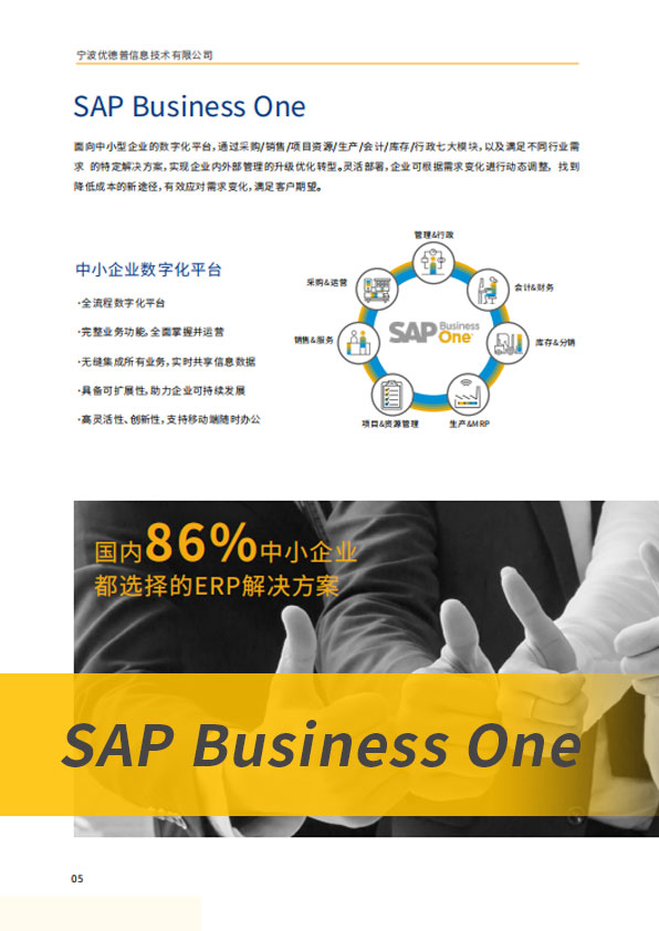 SAP B1,SAP软件,SAP B1管理软件,SAP Business One,SAP管理软件,SAP B one,企业SAP软件