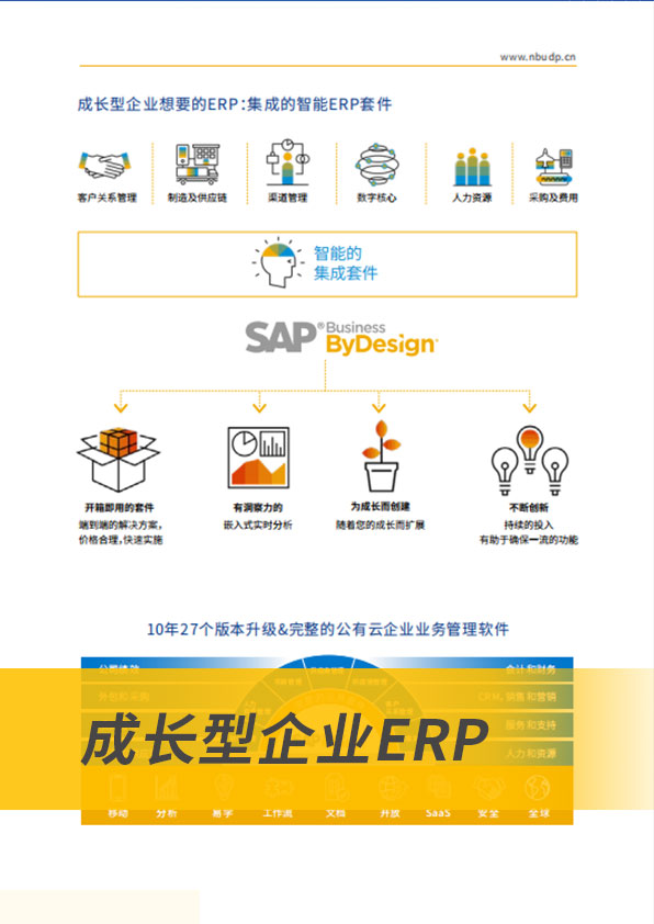 ERP软件,本地化,ERP实施商,优德普,ERP本地实施,SAP ERP软件,SAP系统