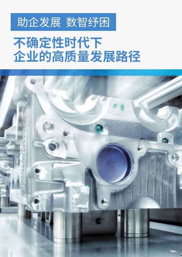 ERP软件,本地化,ERP实施商,优德普,ERP本地实施,SAP ERP软件,SAP系统
